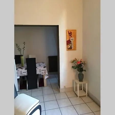 Bel Appartement Coeur D'Albi * Albi